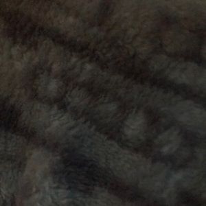 Meet your Posher, Daysi